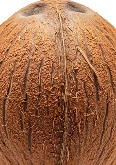 Imagen PNG para descargar